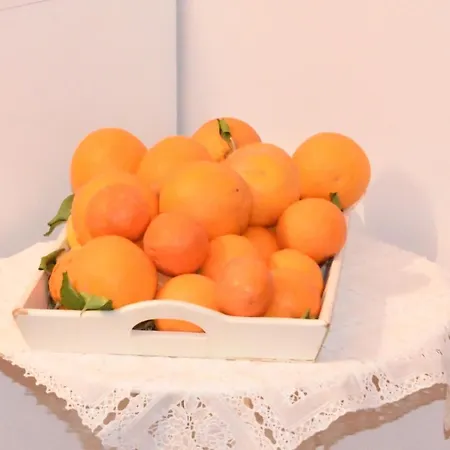 Simonetta's Maison d'hôtes *